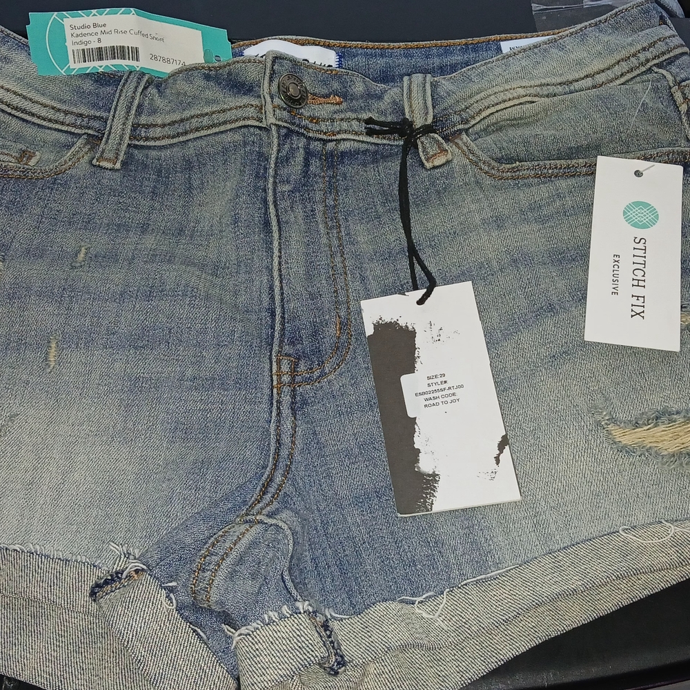 Stitch Fix Distressed Denim Shorts